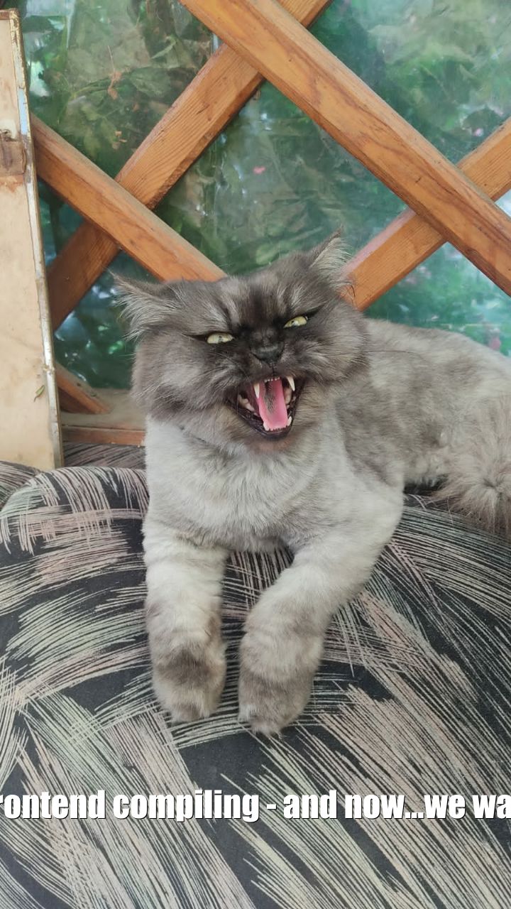 Frontend is compiling...